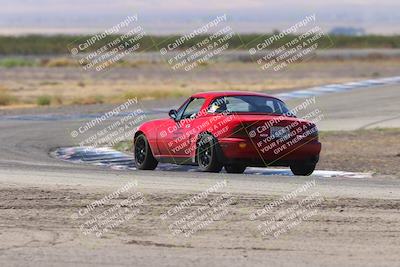 media/Oct-04-2025-OnGrid (Sat) [[44bd565ffa]]/Green Group/Grapevine/